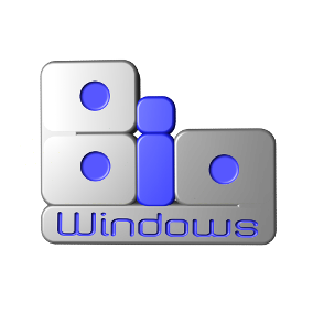 Big Windows Ltd - Logo Design
